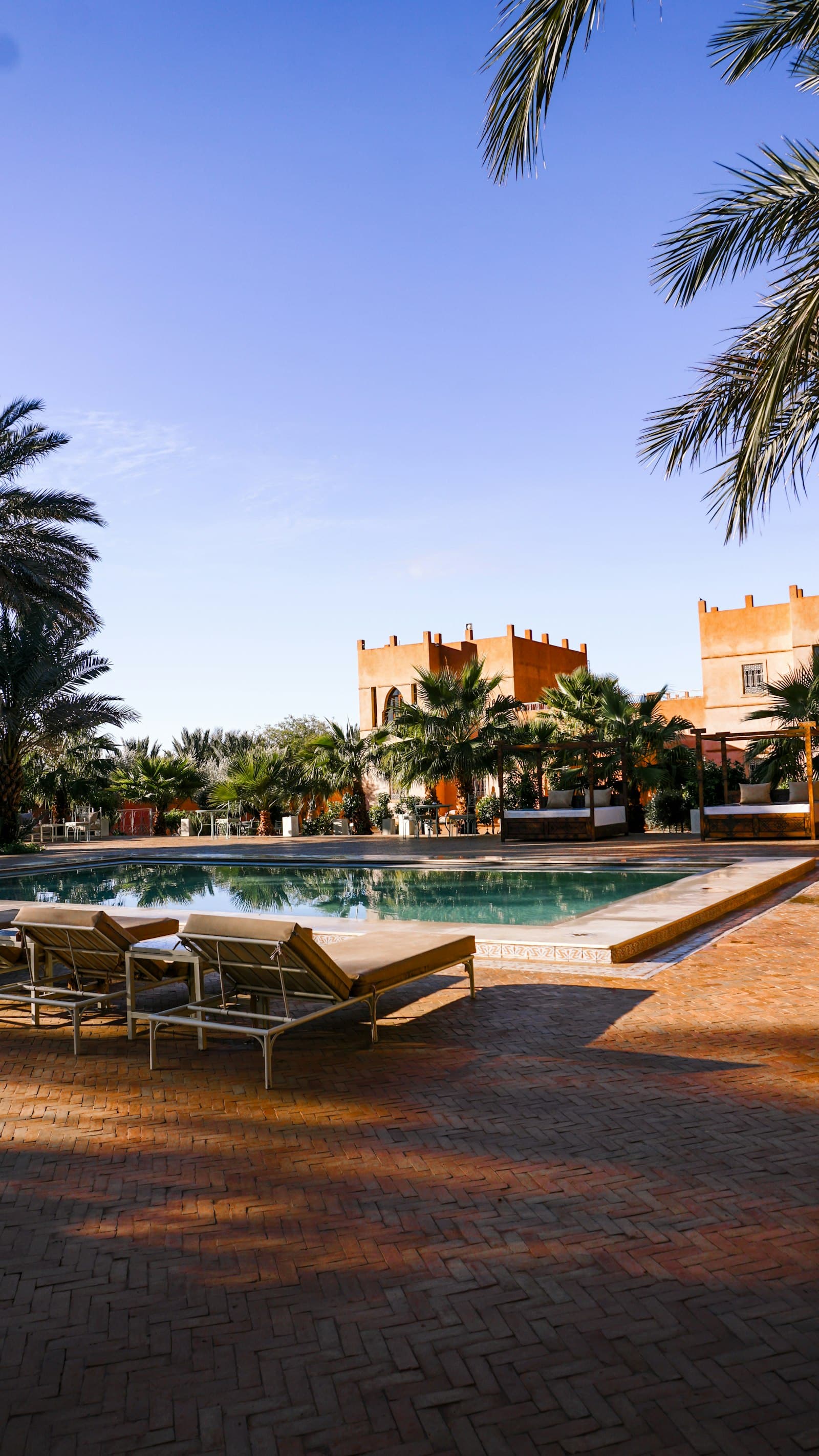 Pool with sun loungers under palm trees on a sunny day (placeholder photo)
